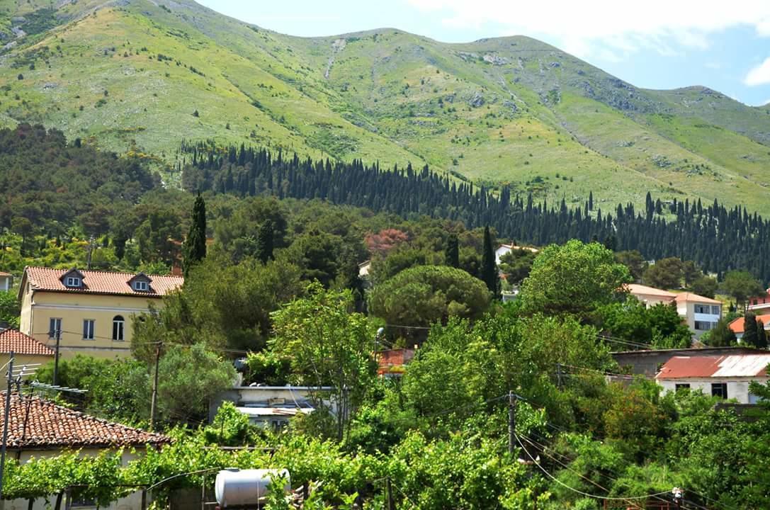 Hotel Shkodra Lake Široka エクステリア 写真